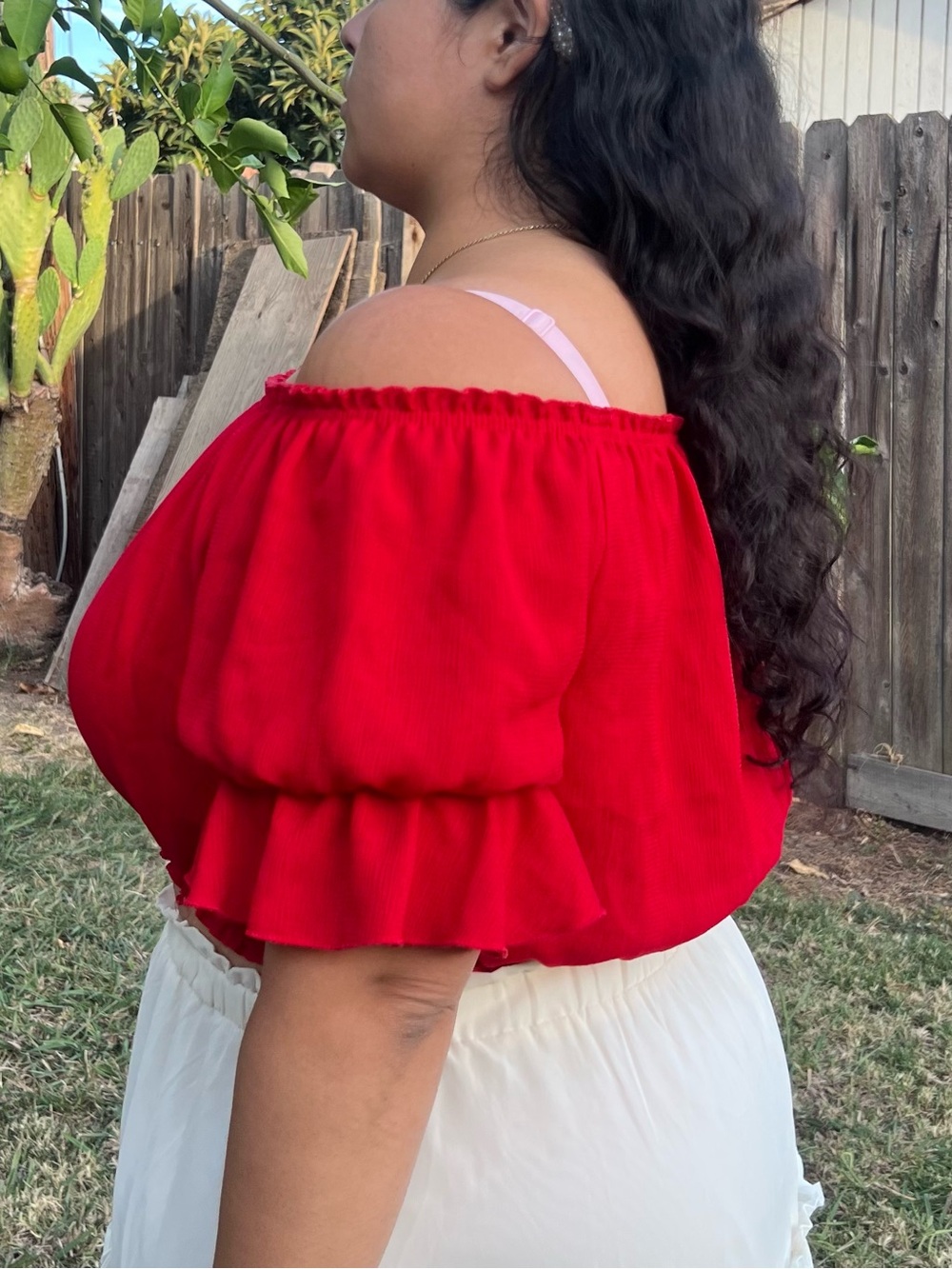 Red Off-Shoulder Ruffle Crop Top - Picture 3 of 4